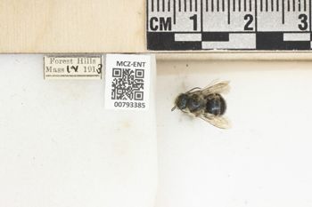 Media type: image;   Entomology 793385 Aspect: Labels